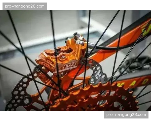 赛前装备检查趋严,多位选手因自行车配件规格处于合规边缘被要求调整 赛前装备检查趋严,多位选手因自行车配件规格处于合规边缘被要求调整